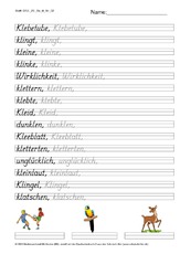 DSS_2S_Bu_kl_Nr_02.pdf